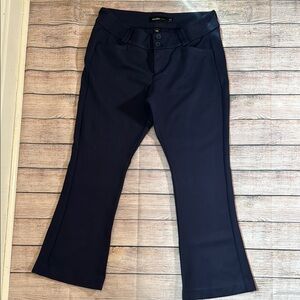 Torrid Flared studio Pants for work size 14s